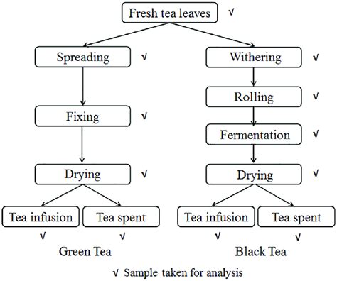 The Flow Chart Of Traditional Manufacturing Process Of Green Tea And