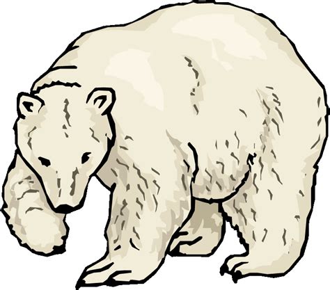 Polar Bear Pictures Clip Art Free Cliparts Download Images On