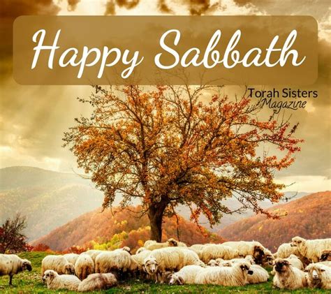 Pin By Deb Reimer On Happy Sabbath Sabbath Day Holy Sabbath Happy