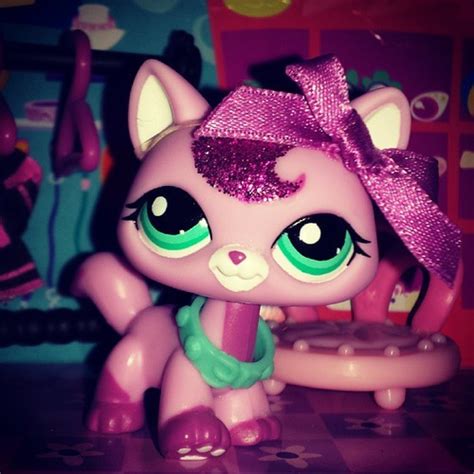Pink Sparkle Cat Littlest Pet Shop Photo 36437081 Fanpop