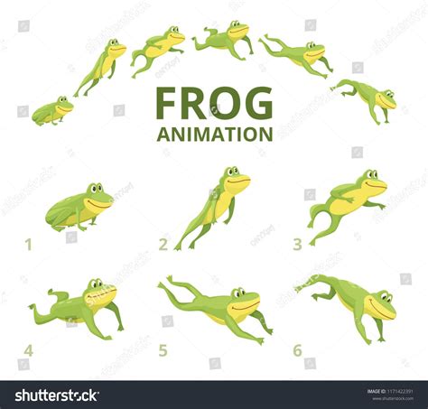 Frog Jumping Animation Various Keyframes For Green Animal Vector Frog