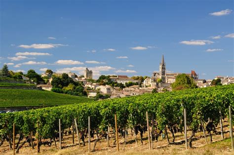 It is best known (indeed renowned the world over) for the vineyards. Saint Emilion Wine and Village