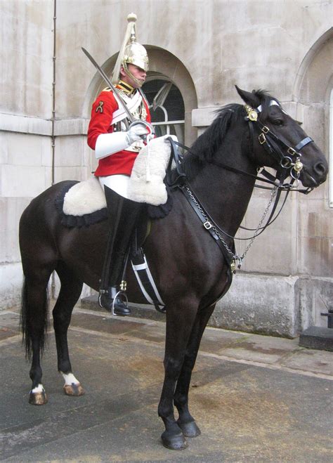 A Modern Day Horse Guard Standing Ceremonial Guard Duty Queens Guard