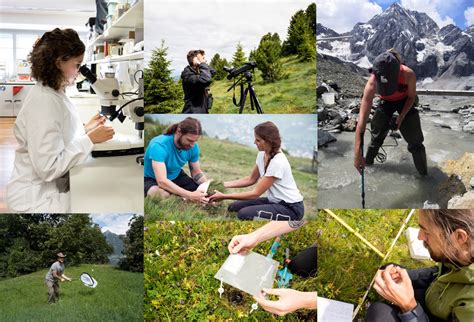 We Are Hiring Interns Wanted Biodiversity Monitoring South Tyrol