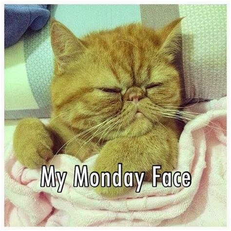 My Monday Face