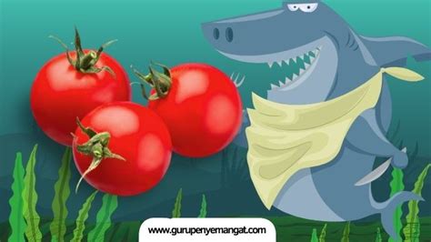 kumpulan pantun ikan hiu makan tomat  lucu asyik romantis  menghibur guru penyemangat