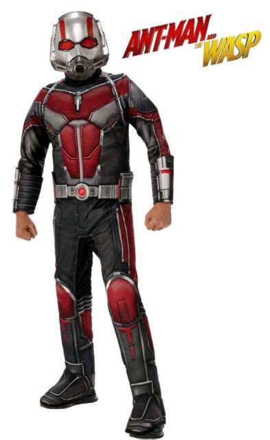 Ant Man Costume Child S Youth Boys Avengers Muscle Padded Chest Antman