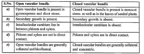 Differentiate Between Open And Closed Type Of Vascular Bundle