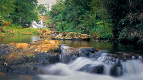 Top 10 Waterfalls On The Atherton Tablelands Tropical North Qld