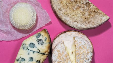 This Scientist Is Unlocking The Mysteries Of Cheese