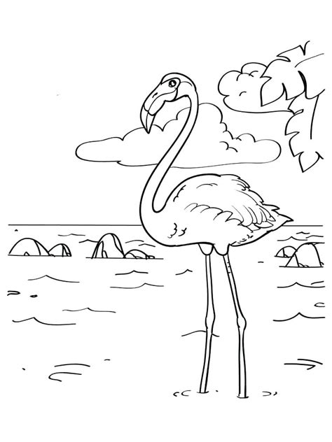 You can use it for coloring activities with your child. Flamingo Coloring Pages - Best Coloring Pages For Kids
