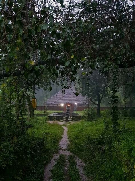 And for the photography lovers, kerala photos are among the best travel photos of india, and not only for its beautiful landscapes. Kerala, Temple, God's Own Country! കാവ് | Landscape ...