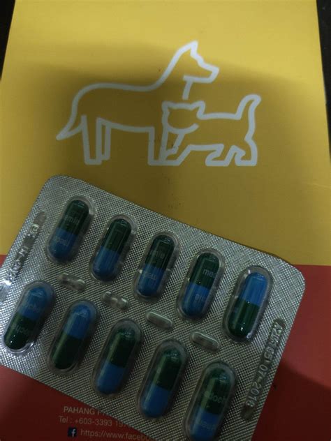 ubat demam selsema kucing dan anjing/fever cough cold loss appetite