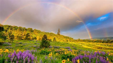 Beautiful Rainbow Wallpaper 49 Images