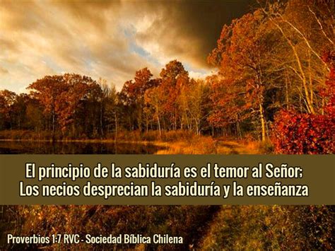 Versículos De La Biblia Acerca De La Sabiduría Sociedad Bíblica Chilena