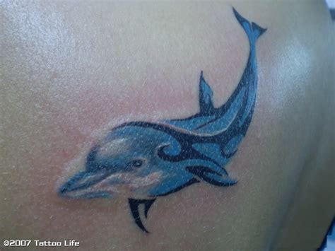 fairy tattoo designs small tattoo designs design tattoos tribal dolphin tattoo sea life
