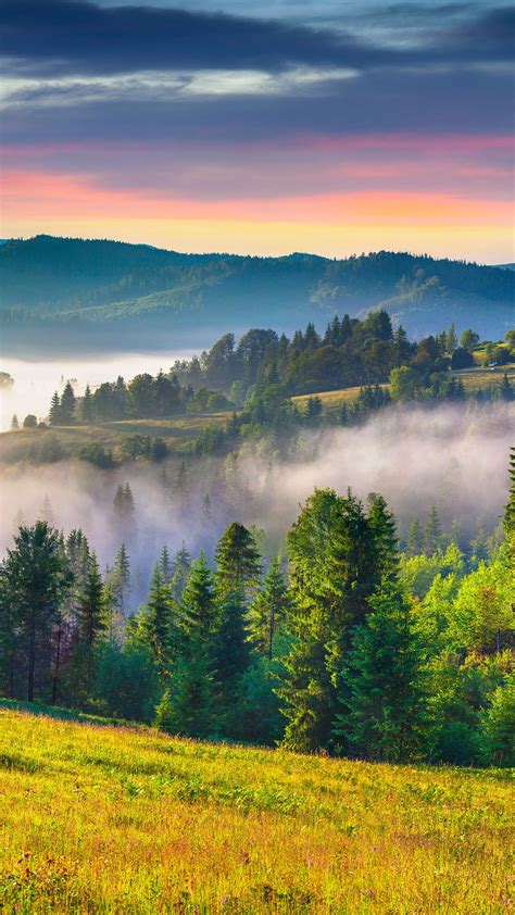 Colorful Summer Sunrise In The Carpathian Mountains Ukraine Windows