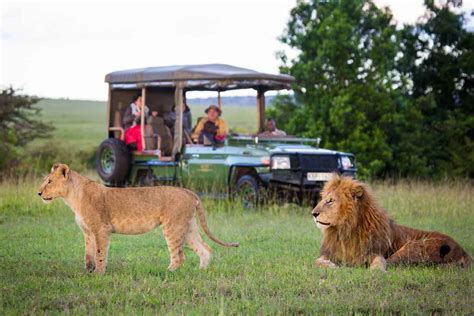 Our Top 10 Kenya Safari Tours And Vacations Go2africa