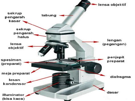 Gambar Mikroskop Fungsi Dan Bagiannya Serat
