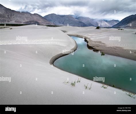 Sand Dunes Of Nubra Valley With River And Desert Plant Himalaya