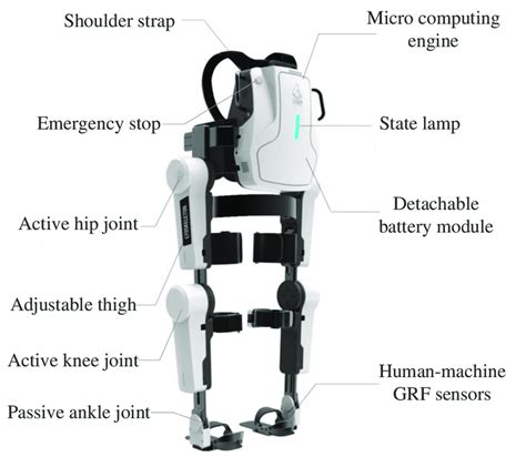 Lower Limb Exoskeleton System Ugo Developed By Roboct Inc Download Scientific Diagram