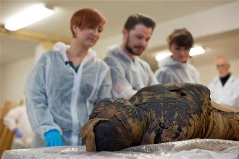 Polish Scientists Discover Ancient Egyptian Mummy Was Pregnant Woman The Tribune India
