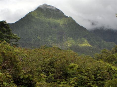 Mount Waialeale Rainforest Hike Easy To Moderate Reviews Kauai Tours