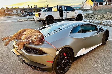 Idaho Lamborghini Carrying Dead Cougar Sparks Online Controversy