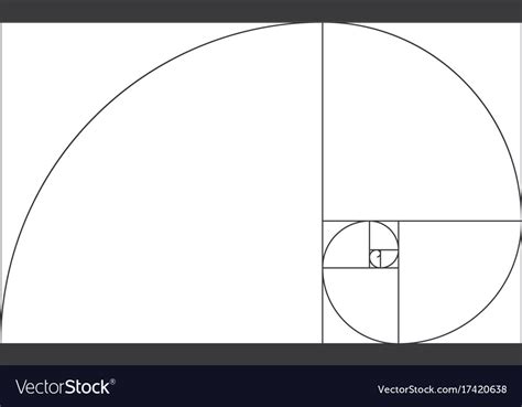 Golden Ratio Template Fibonacci Royalty Free Vector Image