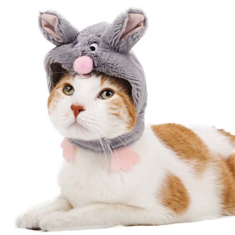 Pick your favorite superhero, put their logo on a bandana, and tie it around the cat. Pick the right Halloween costume for your cat or dog ...