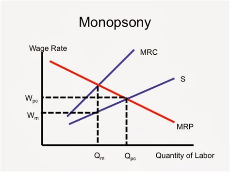What Is Monopsony Librarysbbu