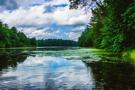 Free Images Nature Forest Sky Lake River Summer Pond Spring