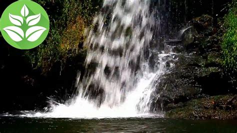 Rainforest Waterfall 10 Hours Waterfall Nature Sounds White Noise