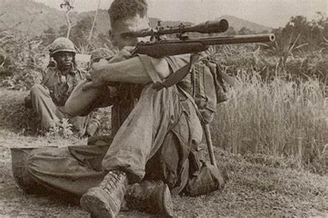 The Top Ten Deadliest Snipers In History Owlcation