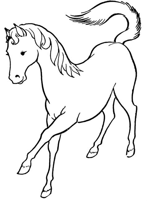 Desenhos Para Colorir De Cavalos Como Fazer Em Casa