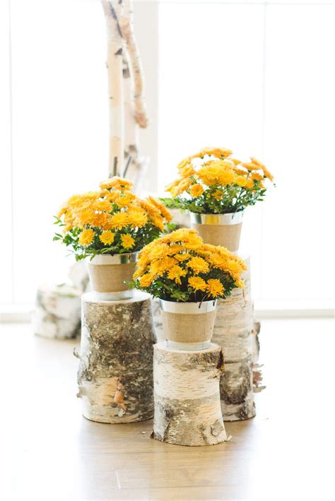 21 Magnificent Ideas For Potted Mums Southern Living
