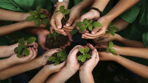 ⚡ What Is The Importance Of Environmental Education Benefits Of
