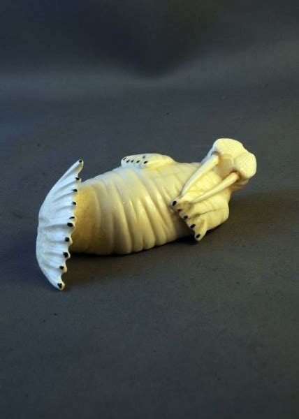 Fossil Ivory Walrus Carving Spectrum Arts Gallery Llc