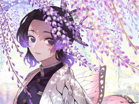 Hình ảnh đẹp hình ảnh anime shinobu xem cực phấn khích