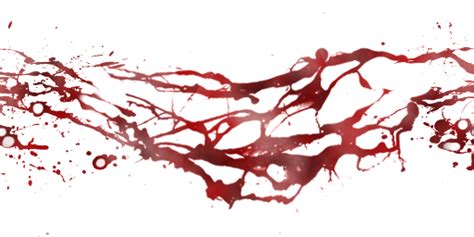 Blood Trail Png png image