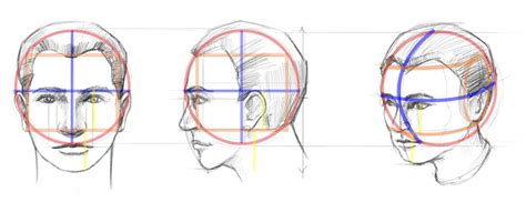 How To Draw A Face Facial Proportions