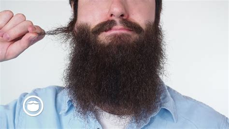 Stop Pulling Out Your Beard Hairs YEARD WEEK YouTube