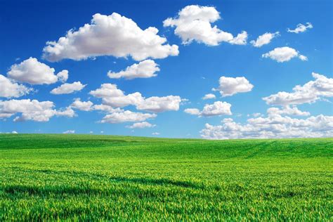 A Large Meadow In The Background Is The Sky Nature Background Image