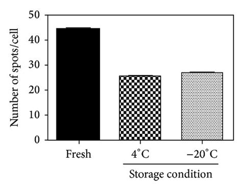 Overnight Storage Of Exosomes At 4°c Or −20°c Does Not Affect Uptake