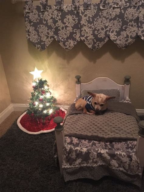 Each state gets as many electors as it has lawmakers in the us. College Student Turns Closet Into a Bedroom For Dog ...