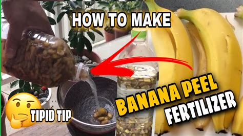 How To Make🇯🇵banana Peel Fertilizer For Any Plantseasy And Free