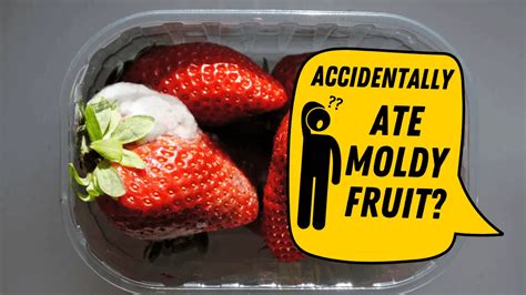 What Causes Mold On Fruit