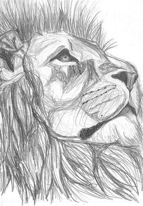 Running low on ideas for things to draw? Lion sketch. | Dibujos, Dibujos realistas, Dibujar arte
