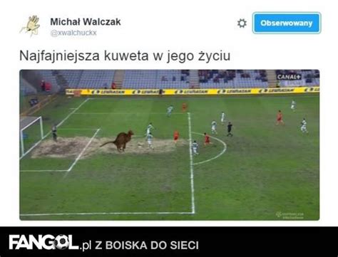 See instagram photos and videos from korona kielce (@fanpage_korona_kielce). Korona Kielce Memy / Bwwrwbv7merlkm