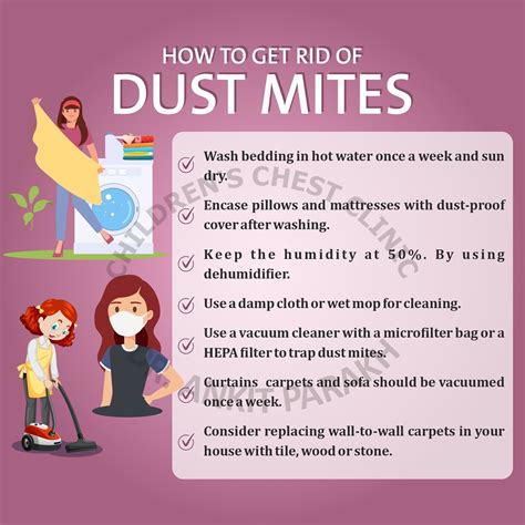 How To Get Rid Of House Dust Mites Dr Ankit Parakh